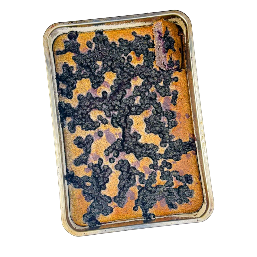 Poppy Seed Cake with Sour Cream and Blueberries