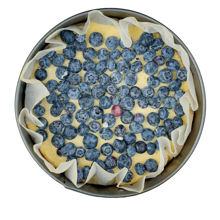 Blueberry Cheesecake with Cottage Cheese