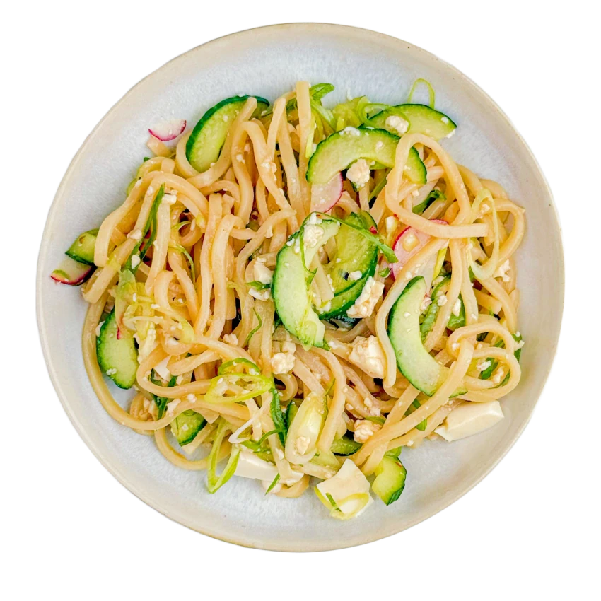 Cold Udon Noodles with Tofu, Cucumber and Radishes
