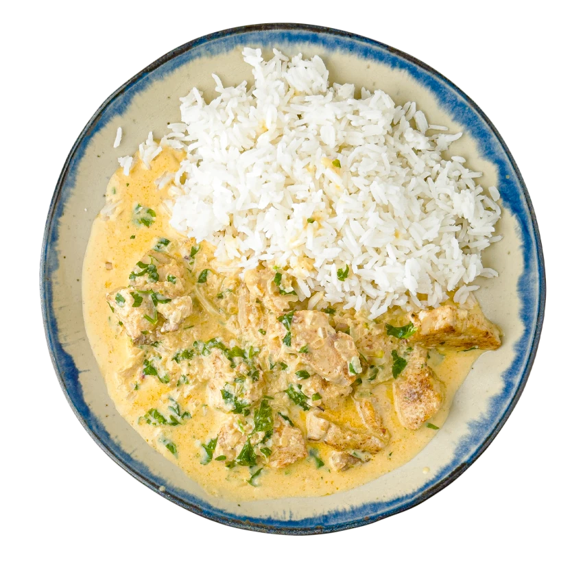 Chicken Breast in a Creamy Sauce with Rice