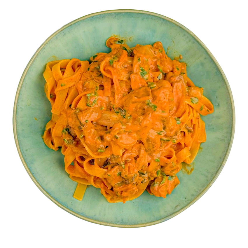 Mushroom Stroganoff with Pasta