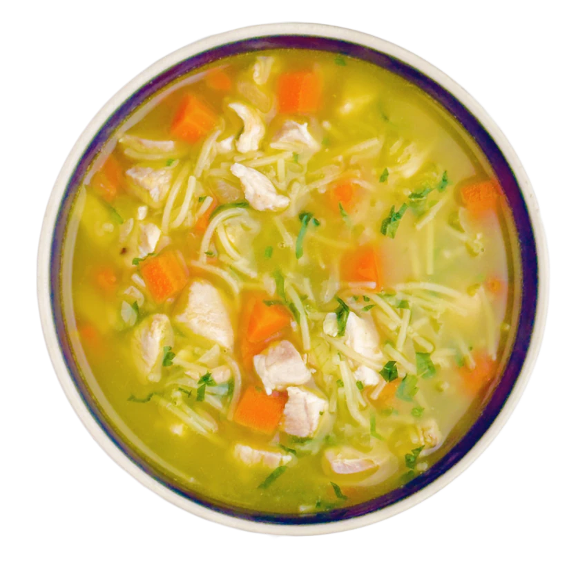 Chicken Noodle Soup