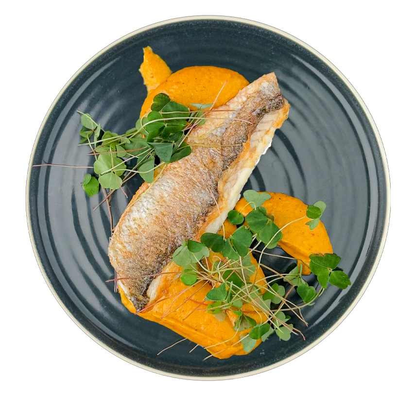 Sea Bass with Vegetable Curry Puree