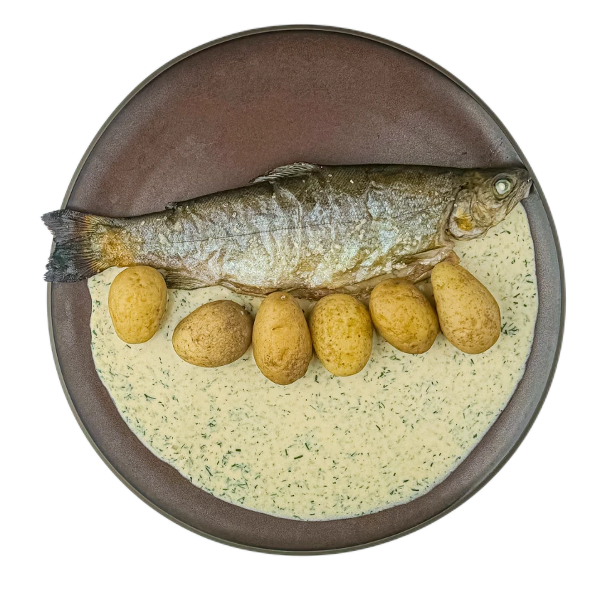 Trout with Dill Sauce and Potatoes